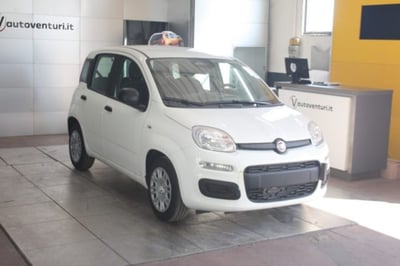 Fiat Panda 1.0 firefly hybrid s&amp;s 70cv 5p.ti nuova a Civita Castellana