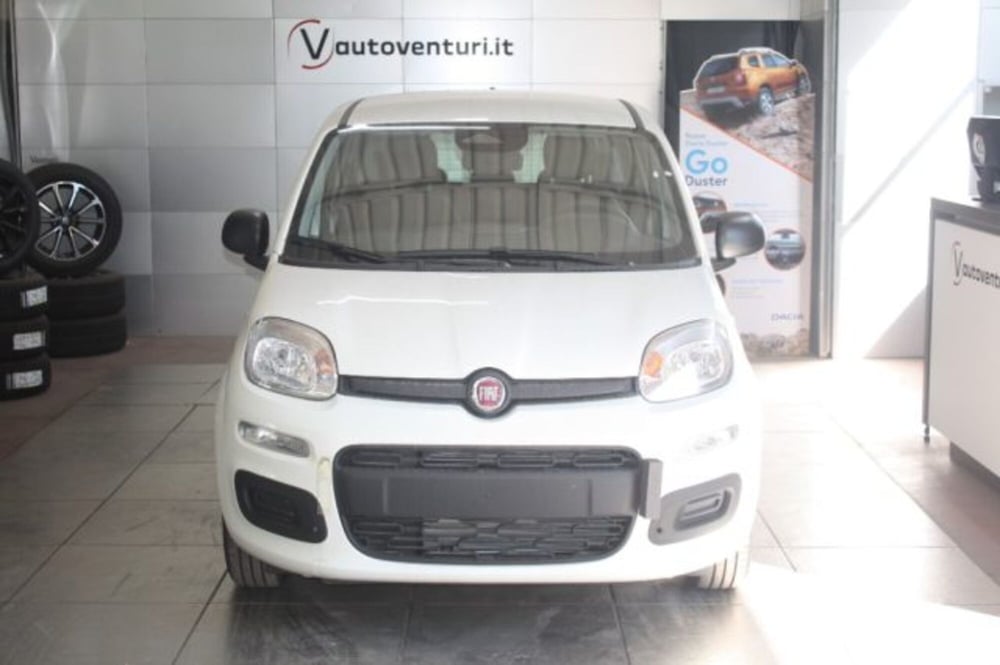 Fiat Panda nuova a Viterbo (2)