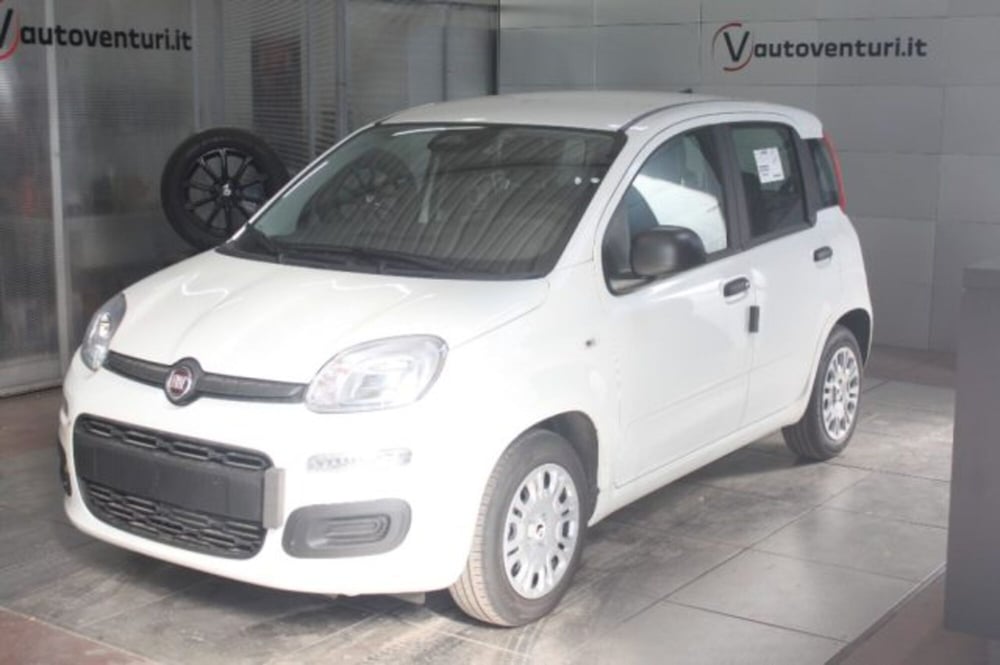 Fiat Panda nuova a Viterbo (3)
