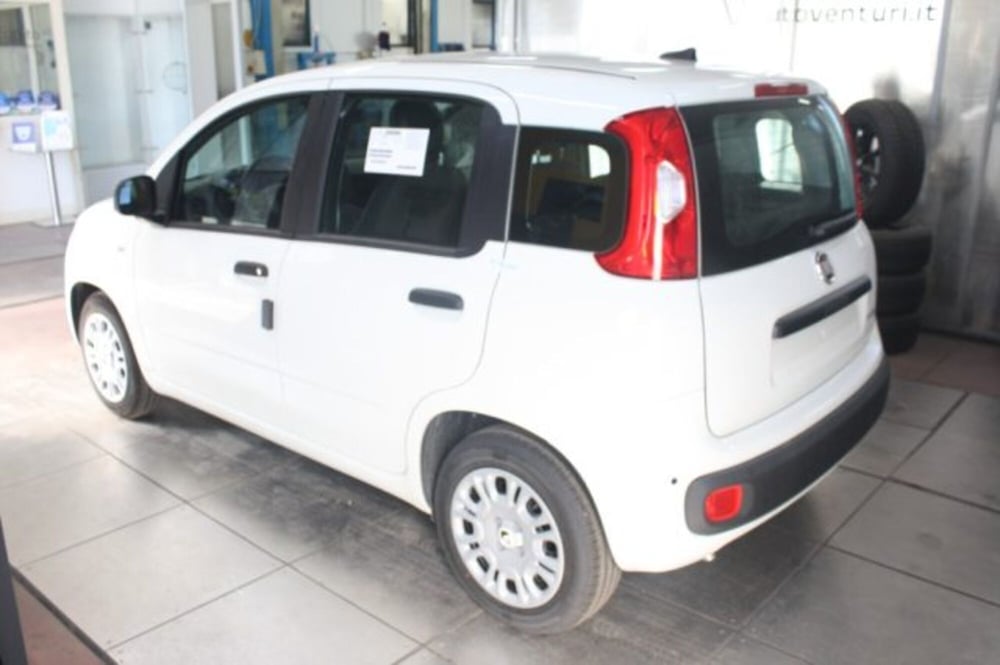 Fiat Panda nuova a Viterbo (4)