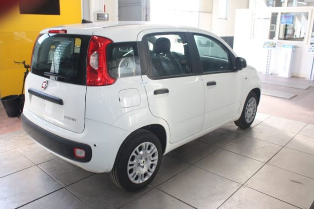 Fiat Panda nuova a Viterbo (7)