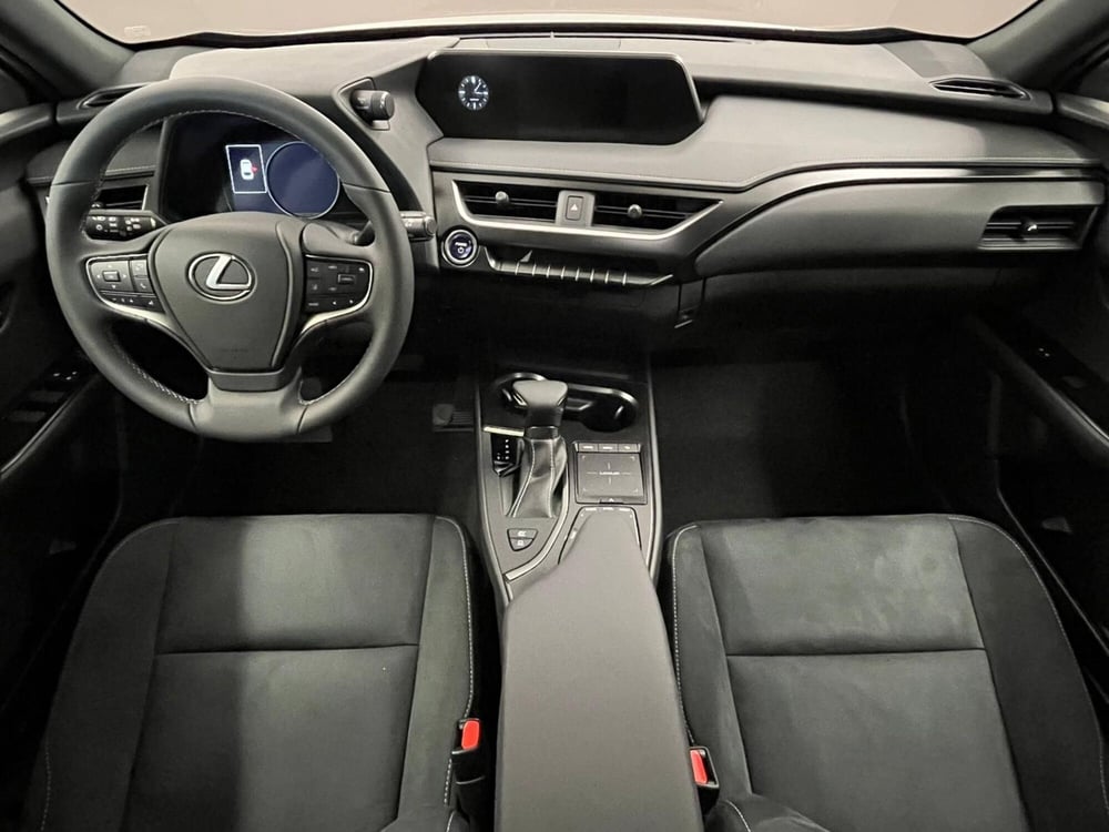 Lexus UX usata a Cremona (10)