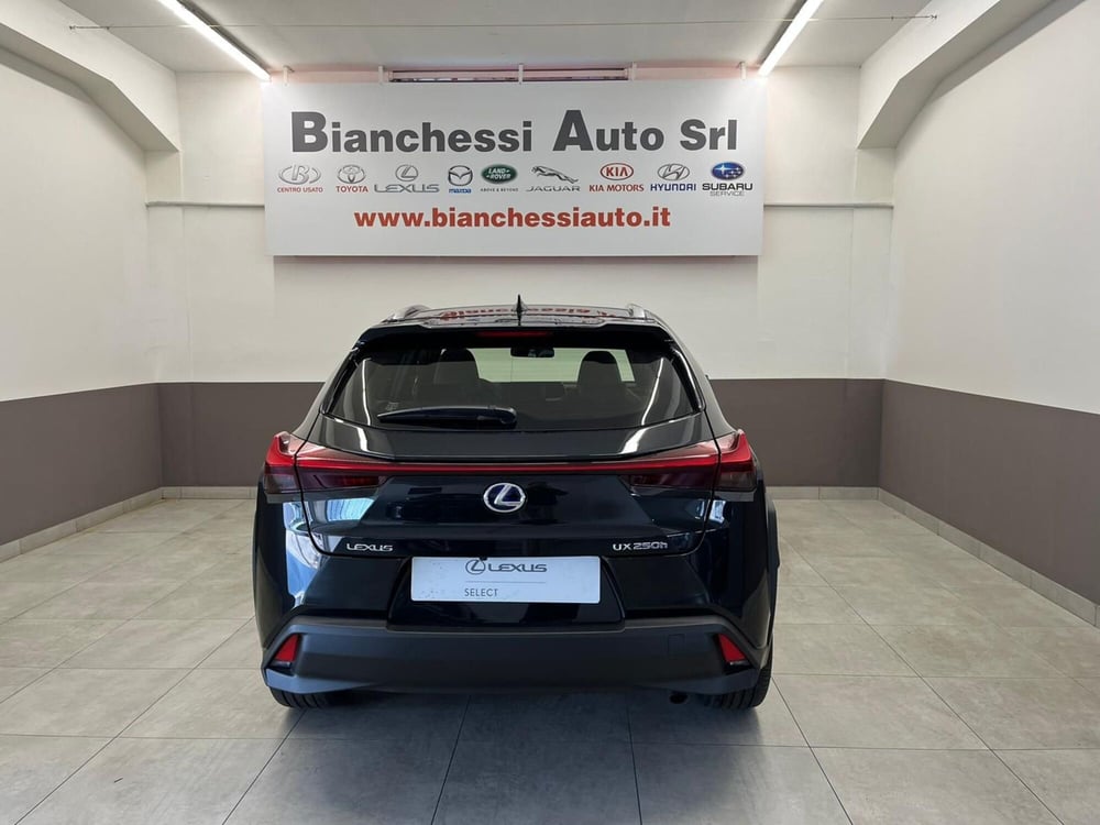 Lexus UX usata a Cremona (4)