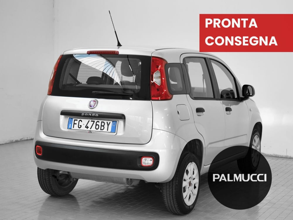 Fiat Panda usata a Prato (2)