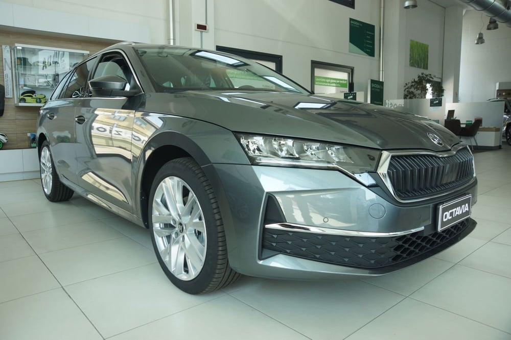 Skoda Octavia Station Wagon nuova a Torino (4)