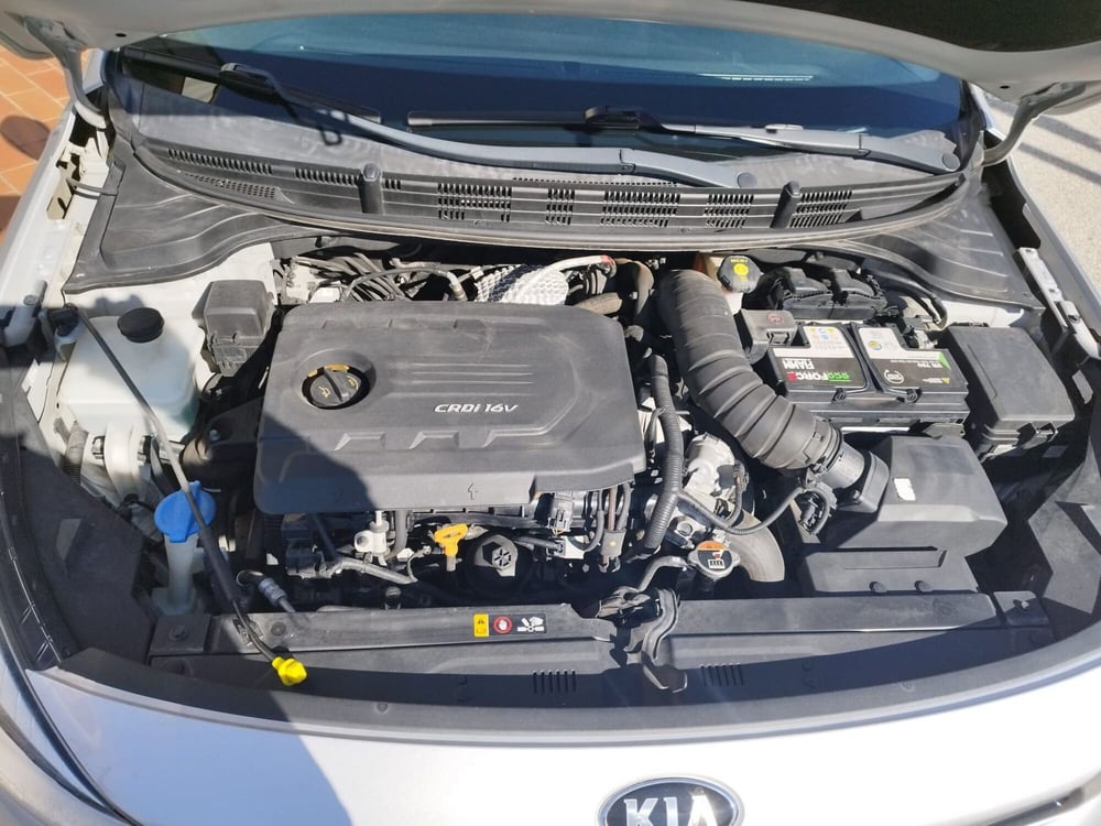 Kia Rio usata a Arezzo (15)