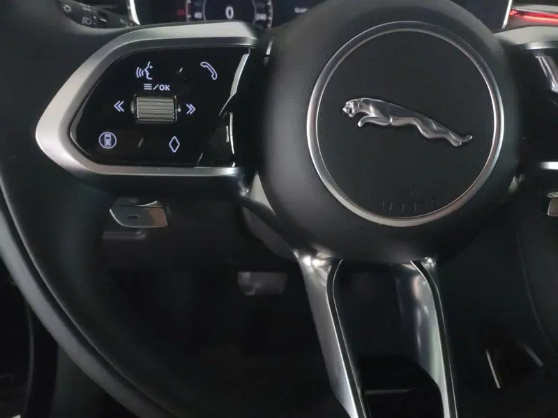 Jaguar F-Pace usata a Milano (12)