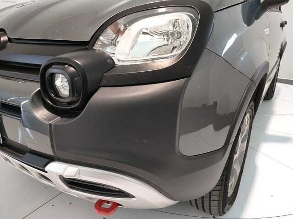 Fiat Panda Cross usata a Teramo (9)