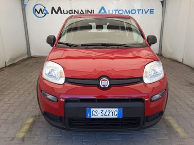 Fiat Panda 1.0 firefly hybrid s&amp;s 70cv 5p.ti del 2024 usata a Firenze