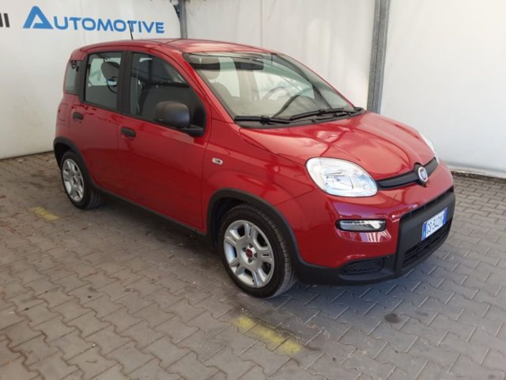 Fiat Panda usata a Firenze (2)