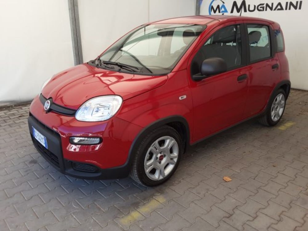 Fiat Panda usata a Firenze (3)