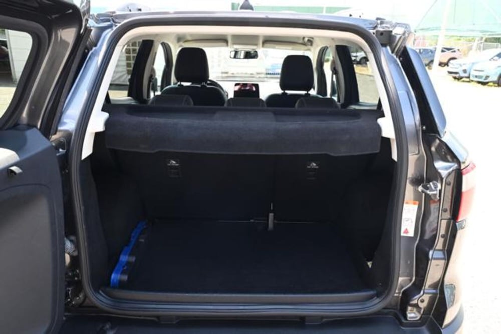 Ford EcoSport usata a Torino (9)