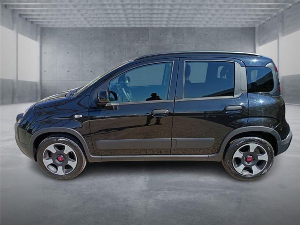 Fiat Panda Cross usata a Bari (7)