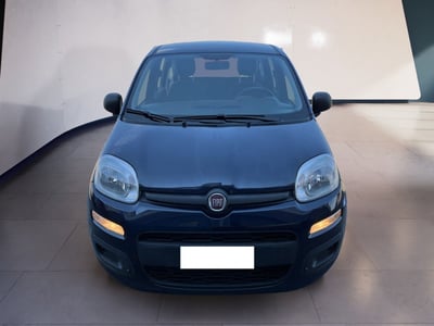 Fiat Panda 1.0 firefly hybrid s&amp;s 70cv 5p.ti del 2020 usata a Torino
