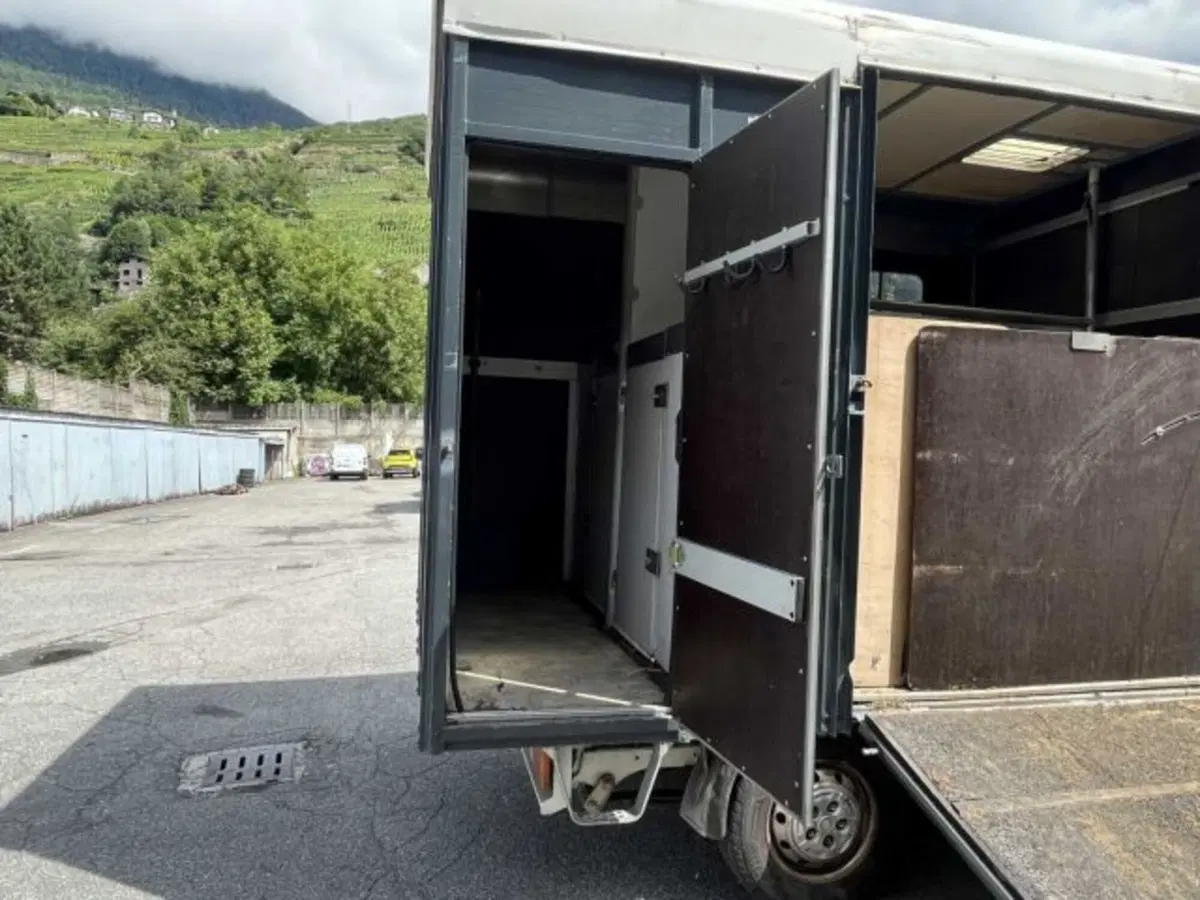 Fiat Ducato Furgone Vetrato usata a Sondrio (11)