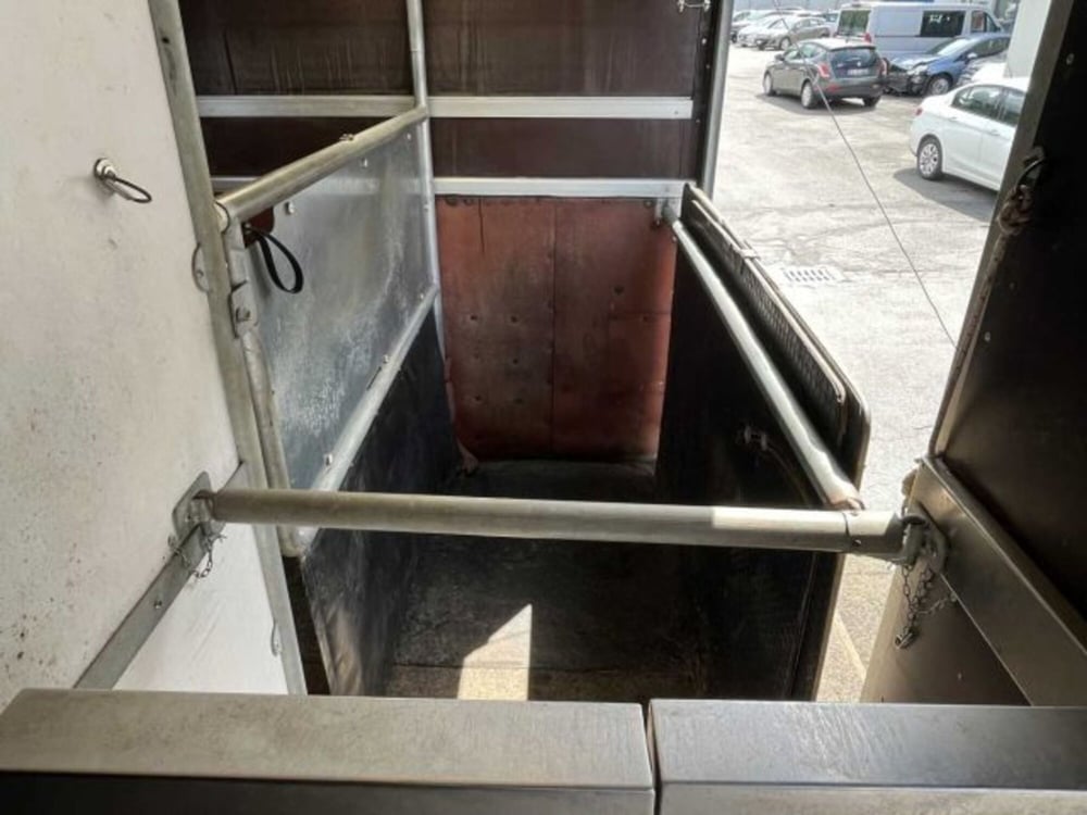 Fiat Ducato Furgone Vetrato usata a Sondrio (12)