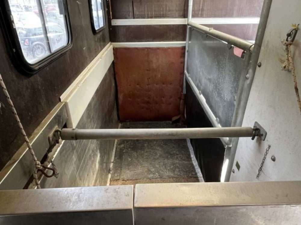 Fiat Ducato Furgone Vetrato usata a Sondrio (13)