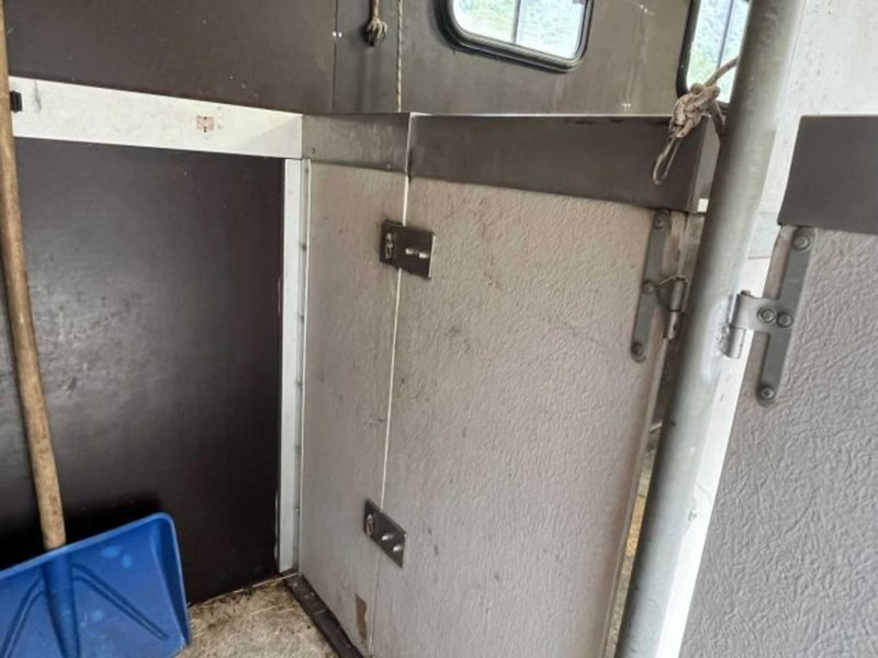 Fiat Ducato Furgone Vetrato usata a Sondrio (15)