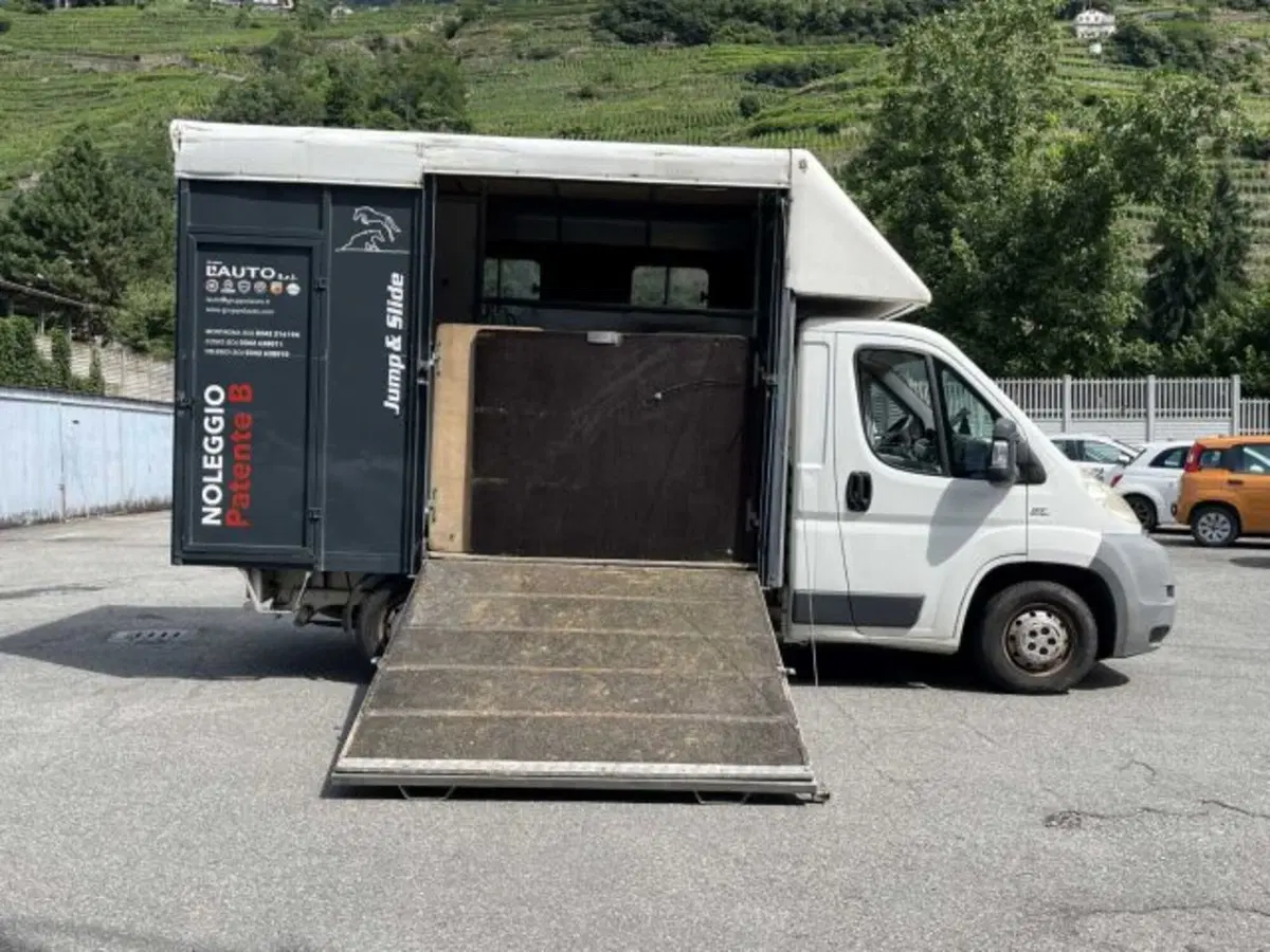 Fiat Ducato Furgone Vetrato usata a Sondrio (7)