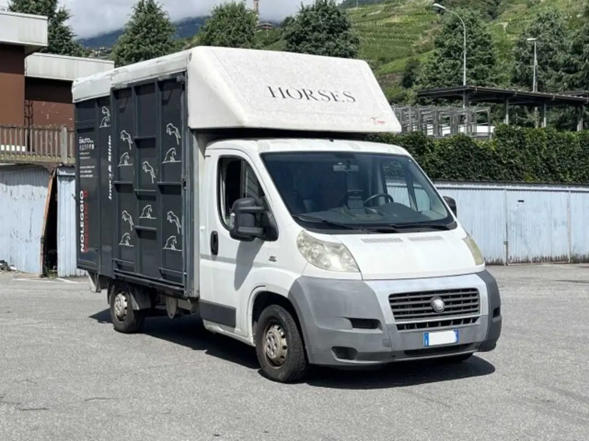 Fiat Ducato Furgone Vetrato usata a Sondrio (8)