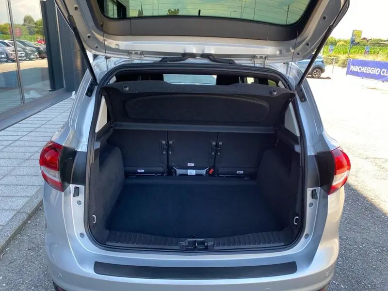 Ford C-Max usata a Torino (8)