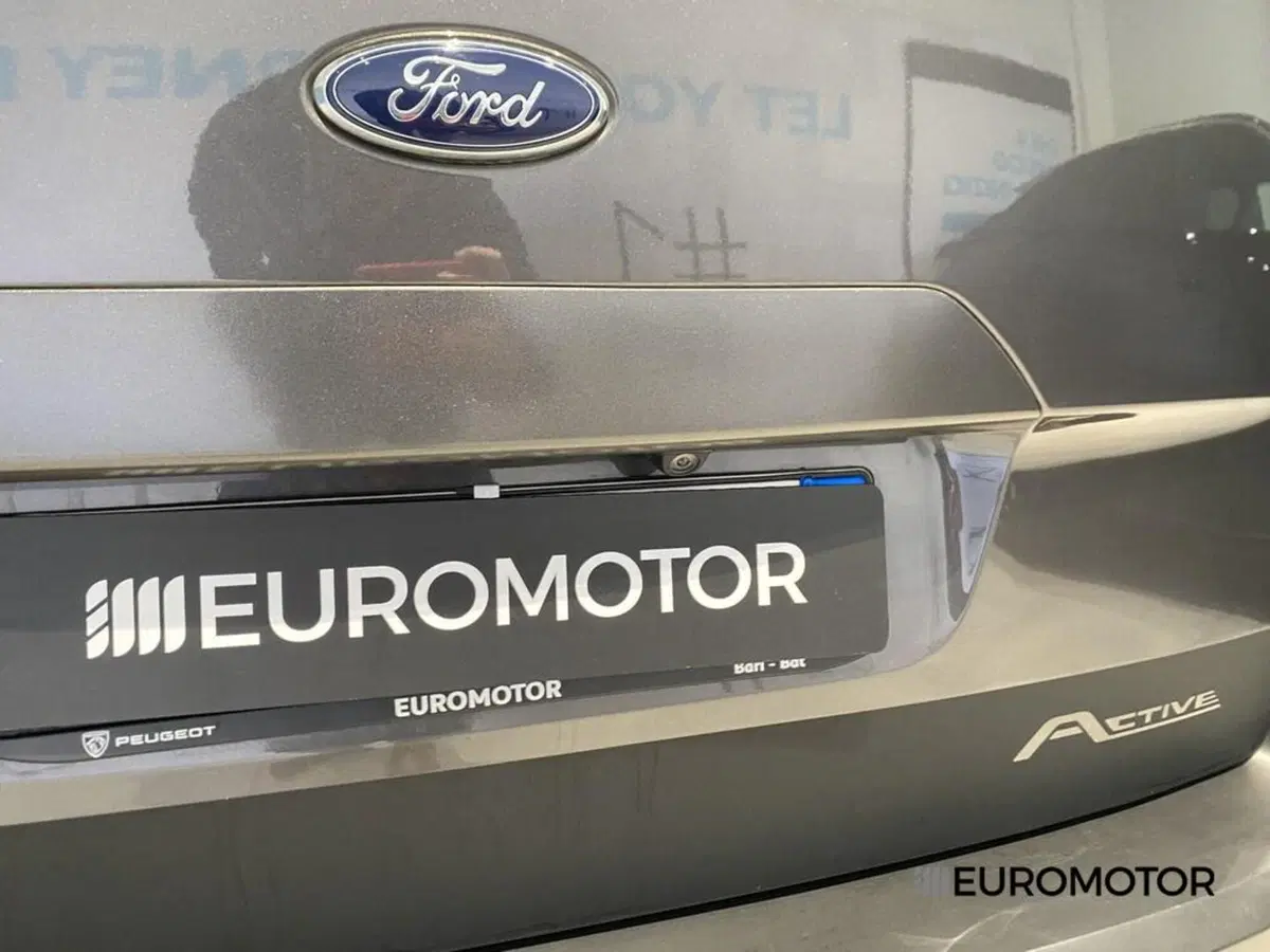 Ford Tourneo Connect usata a Bari (11)