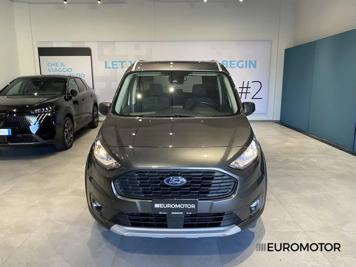 Ford Tourneo Connect usata a Bari (2)