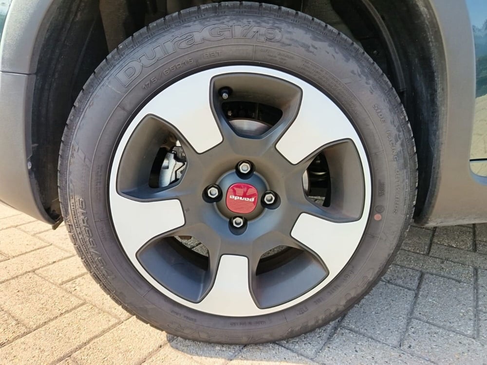 Fiat Panda Cross usata a Alessandria (13)