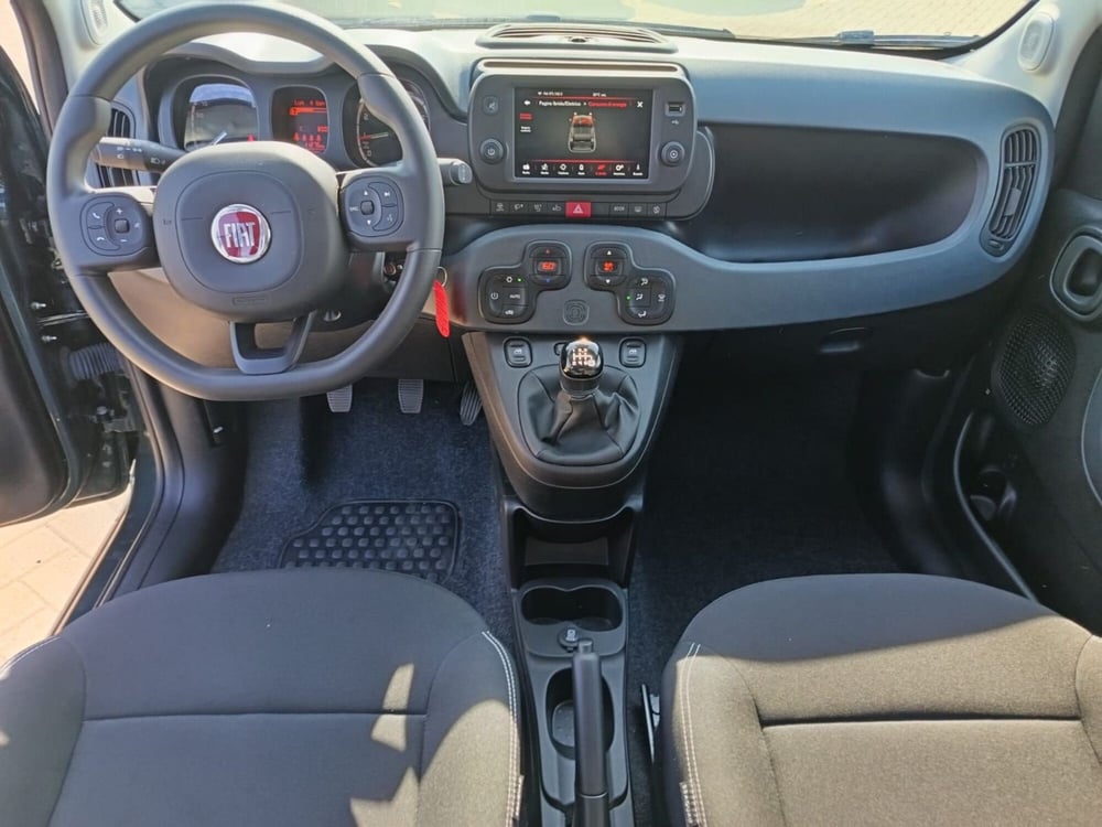 Fiat Panda Cross usata a Alessandria (16)