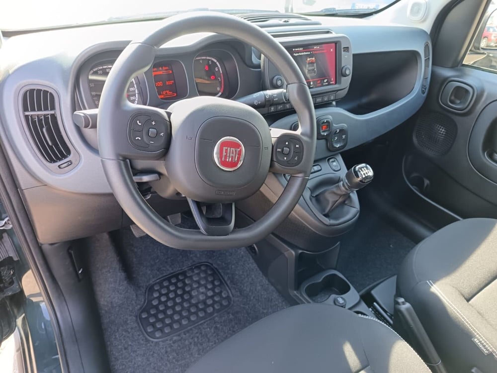 Fiat Panda Cross usata a Alessandria (17)