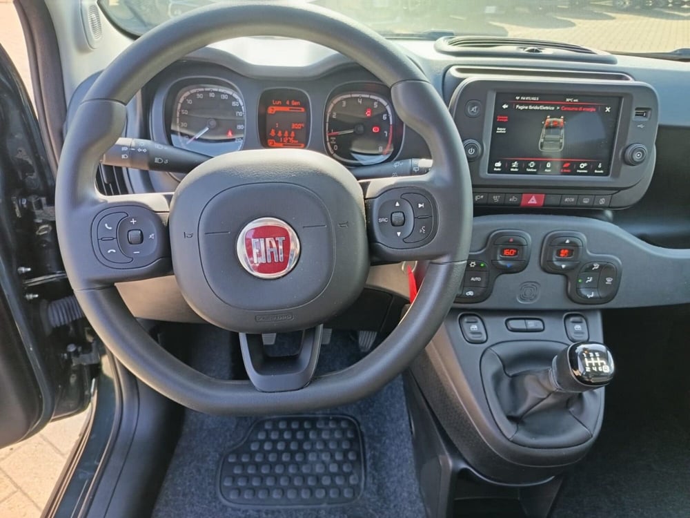 Fiat Panda Cross usata a Alessandria (18)