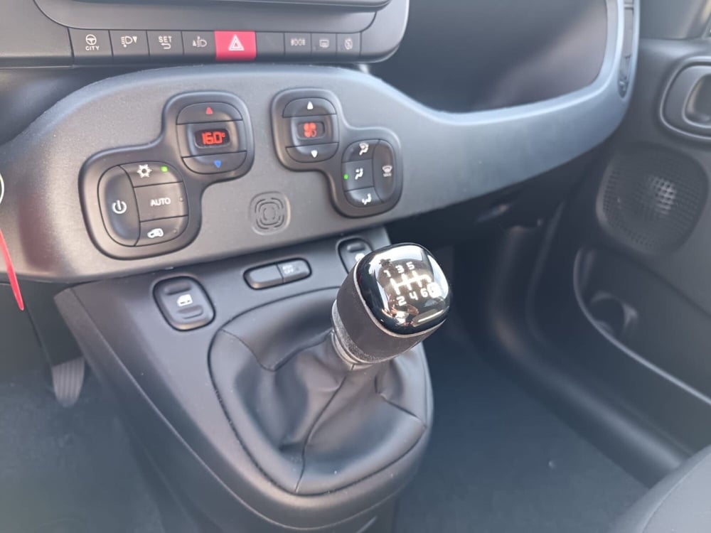 Fiat Panda Cross usata a Alessandria (20)