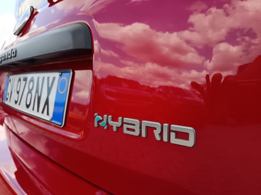 Fiat Panda Cross usata a Alessandria (12)
