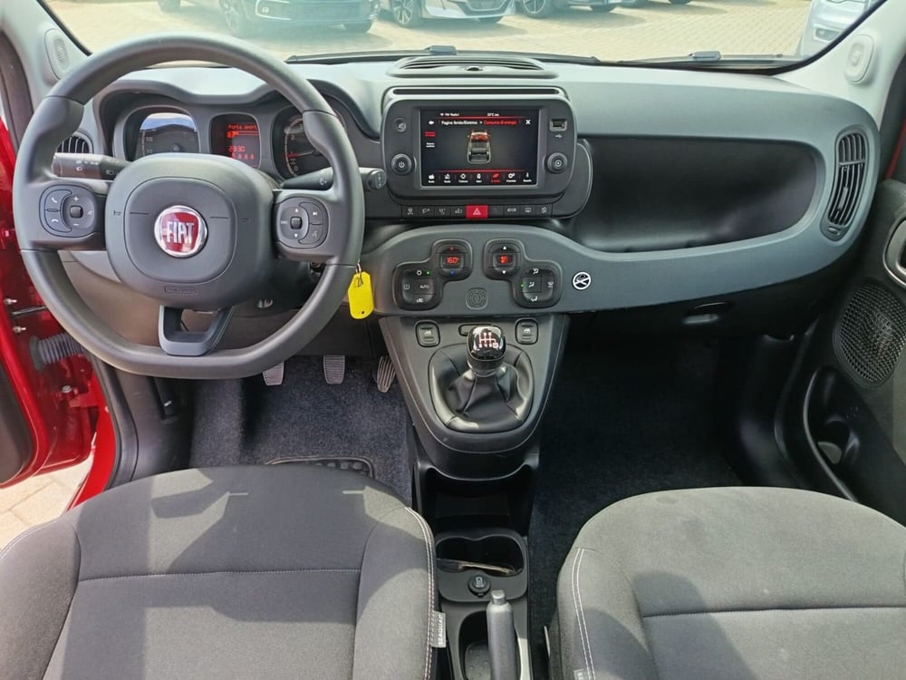 Fiat Panda Cross usata a Alessandria (16)