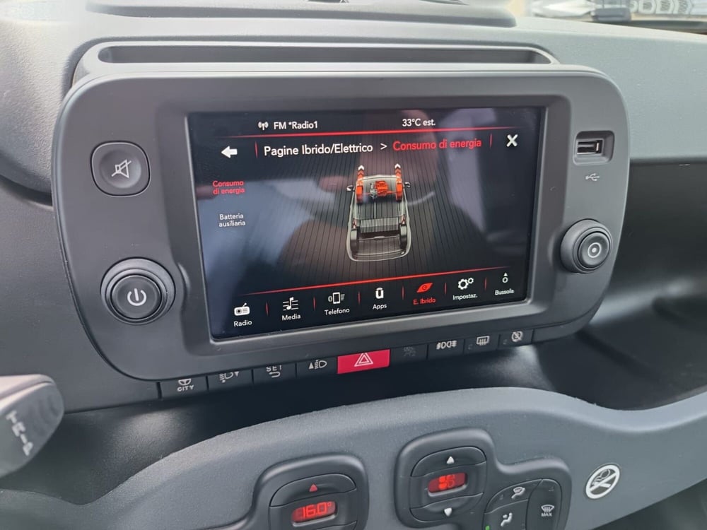 Fiat Panda Cross usata a Alessandria (19)