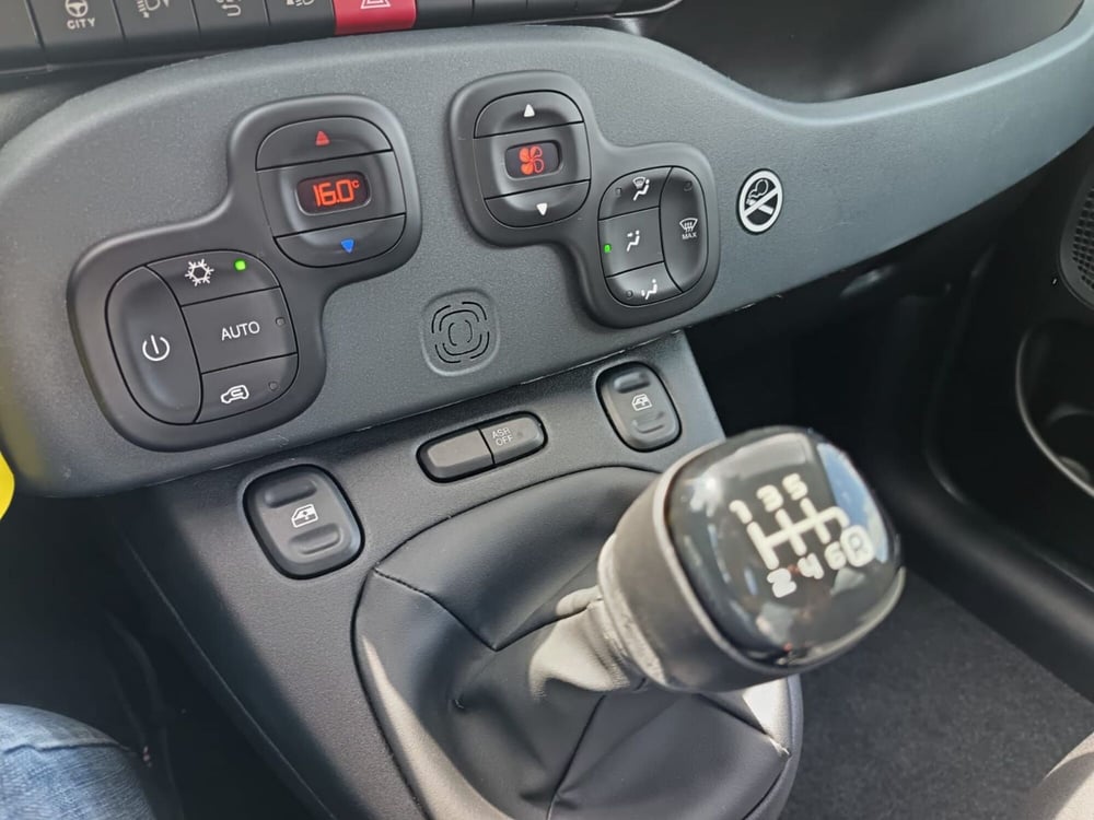 Fiat Panda Cross usata a Alessandria (20)