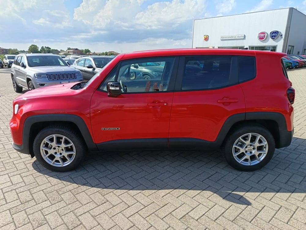 Jeep Renegade usata a Alessandria (8)