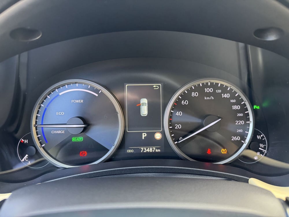 Lexus NX usata a Como (12)