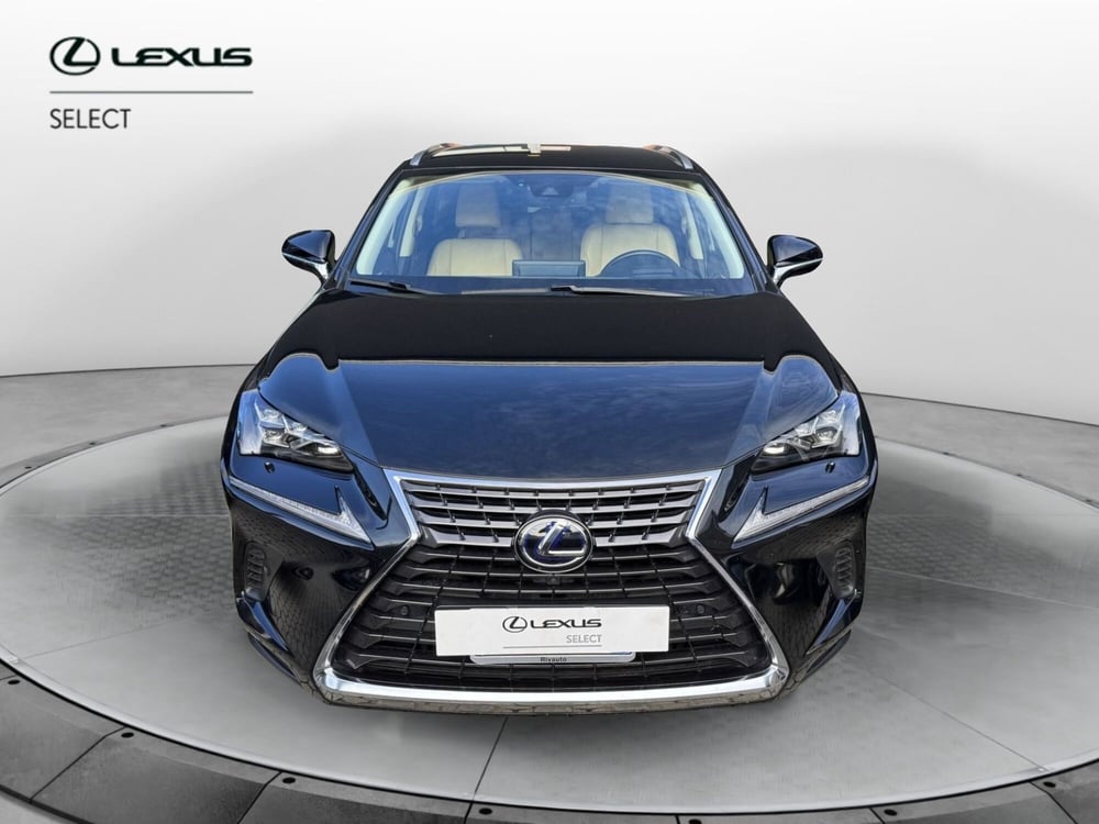 Lexus NX usata a Como (5)