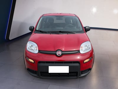 Fiat Panda 1.0 firefly hybrid s&amp;s 70cv 5p.ti del 2024 usata a Torino