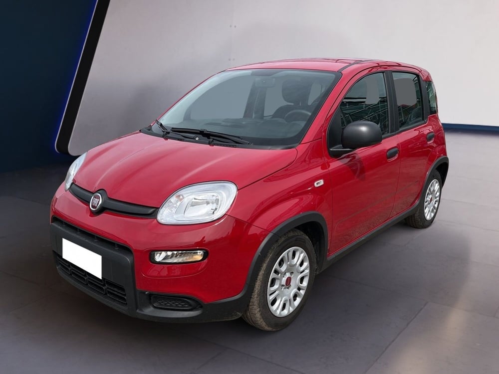 Fiat Panda usata a Torino (2)