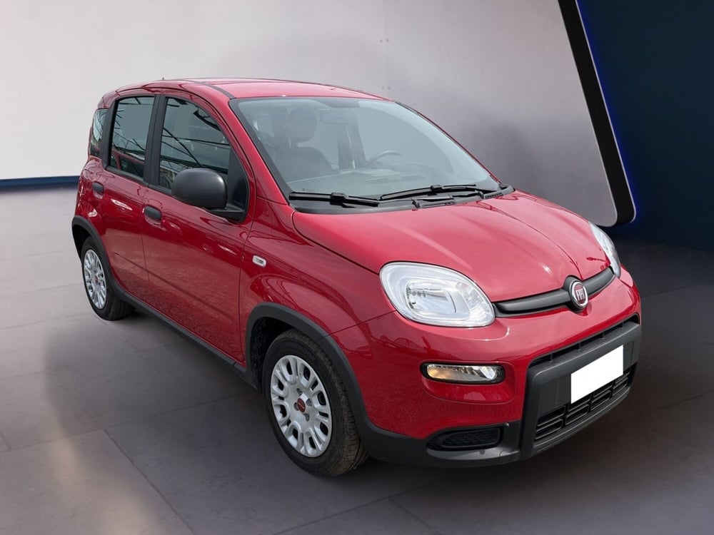 Fiat Panda usata a Torino (3)