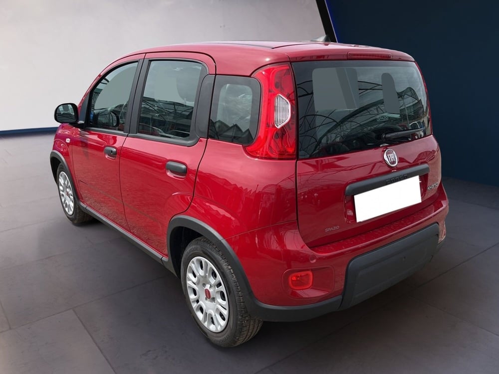 Fiat Panda usata a Torino (5)
