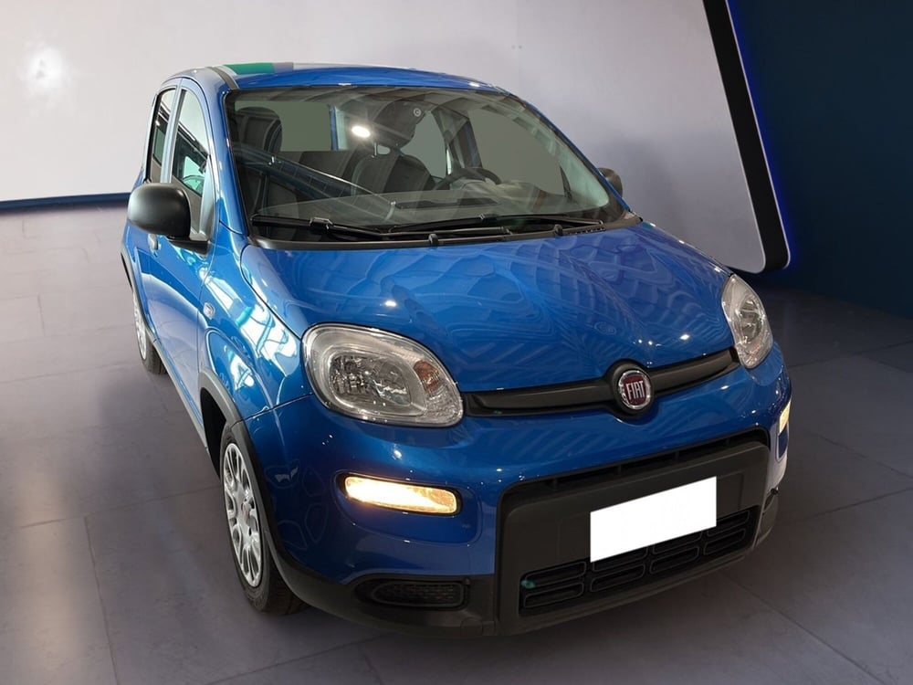 Fiat Panda usata a Torino (2)
