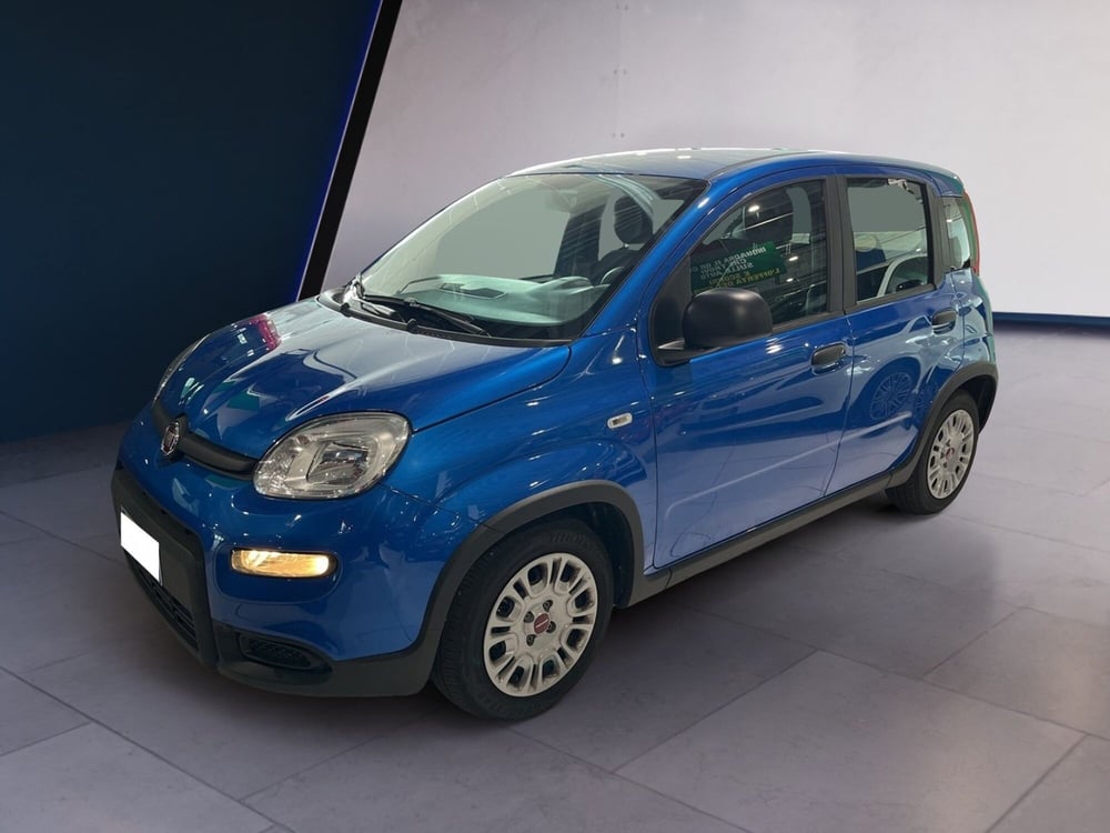 Fiat Panda usata a Torino (3)