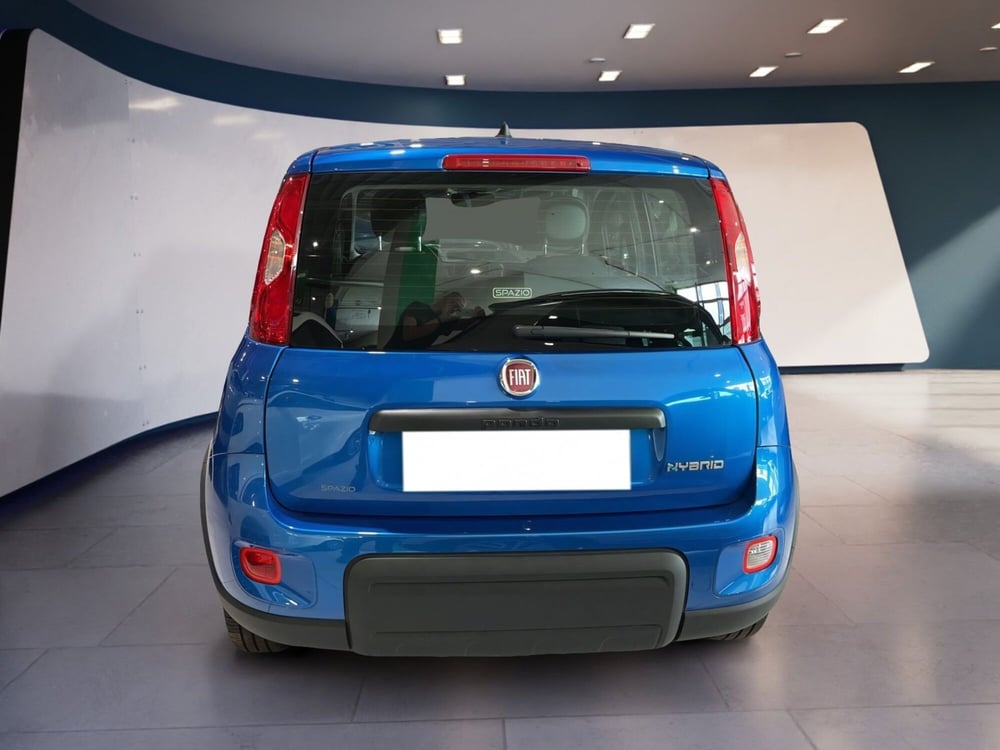 Fiat Panda usata a Torino (6)