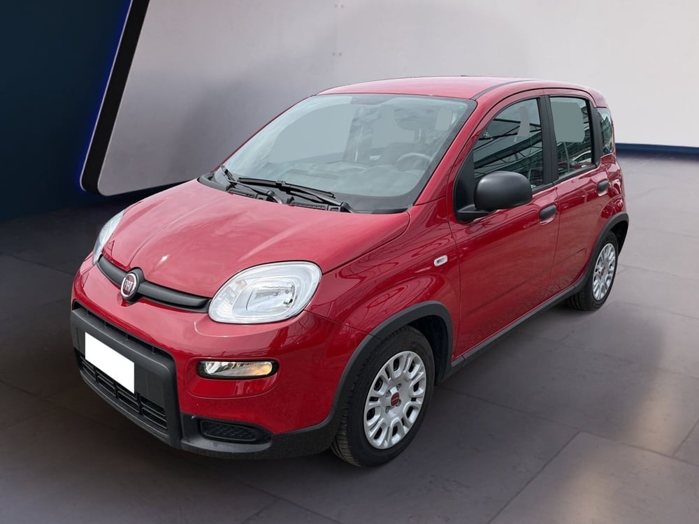 Fiat Panda usata a Torino (2)