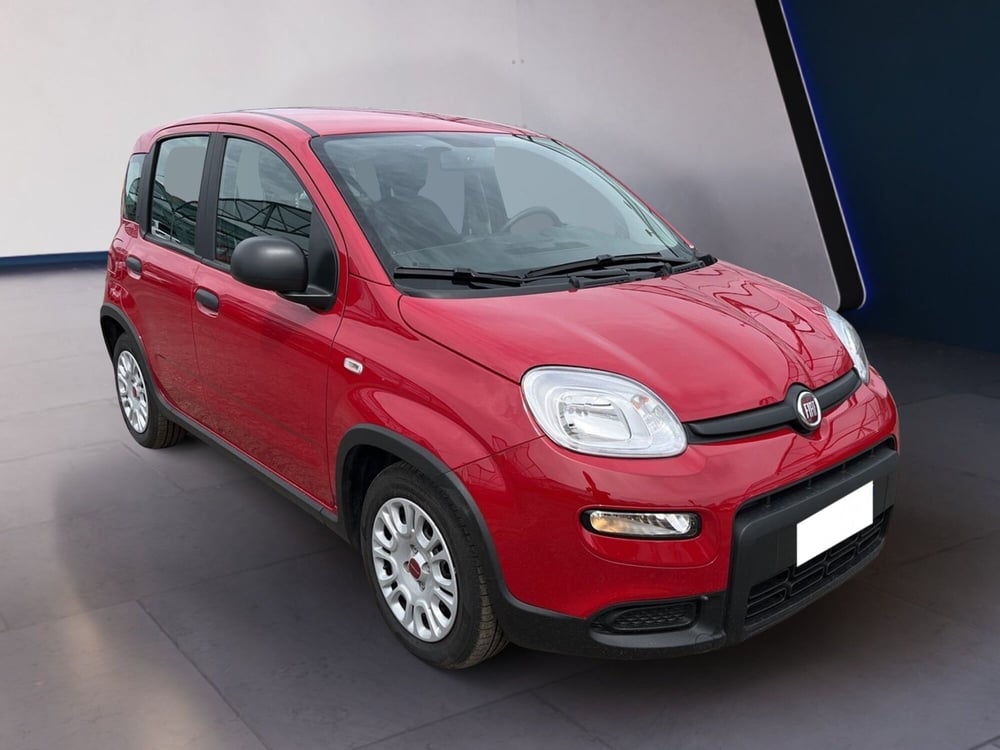 Fiat Panda usata a Torino (3)