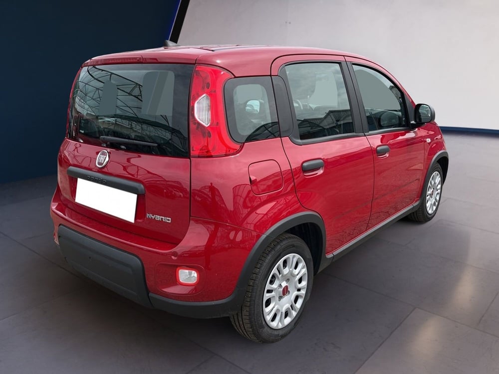 Fiat Panda usata a Torino (4)