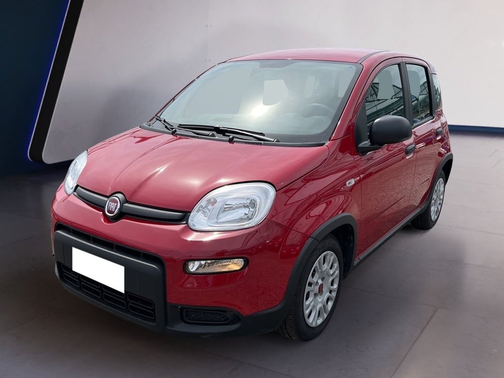 Fiat Panda usata a Torino (2)
